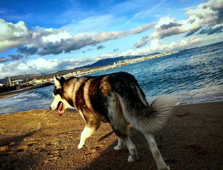 Ocre y azul