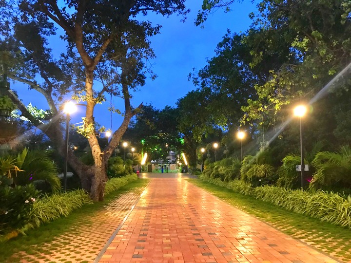 Evening