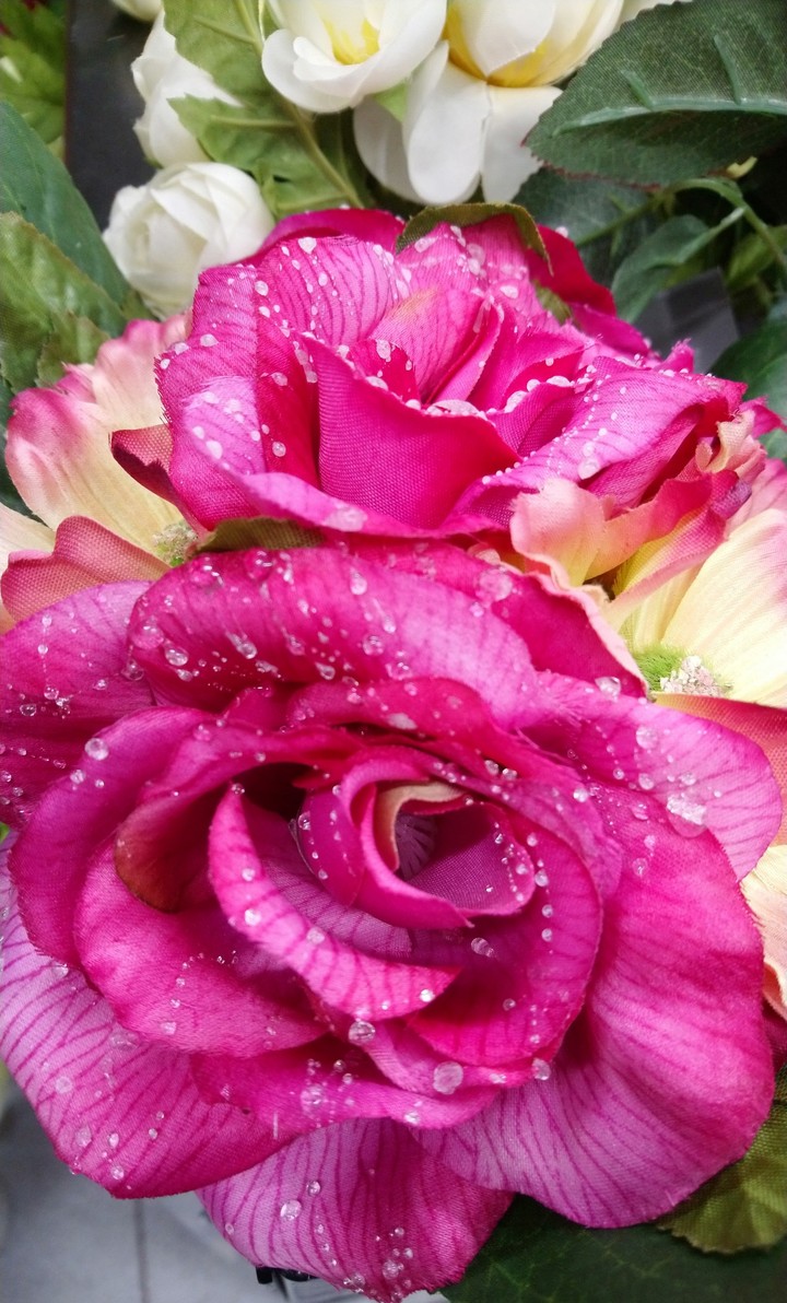 pink