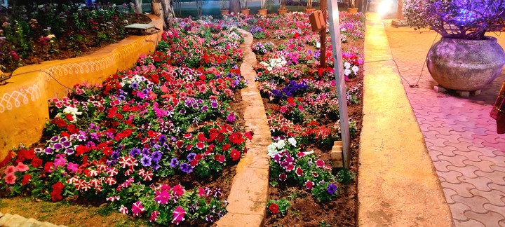 flower