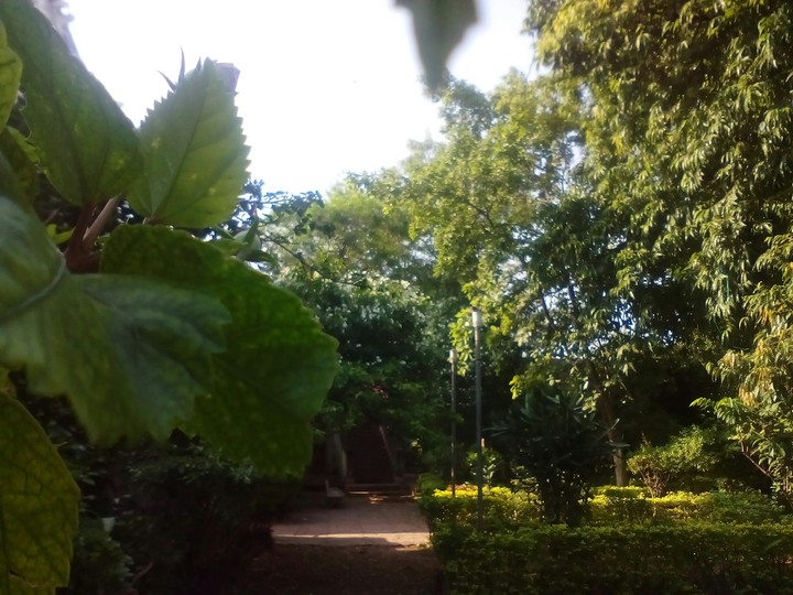 green park