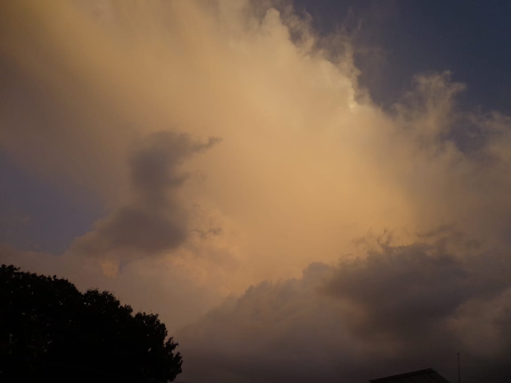 cloud tree