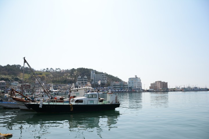 기장이미지