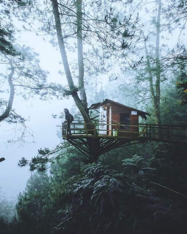 misty mountains home