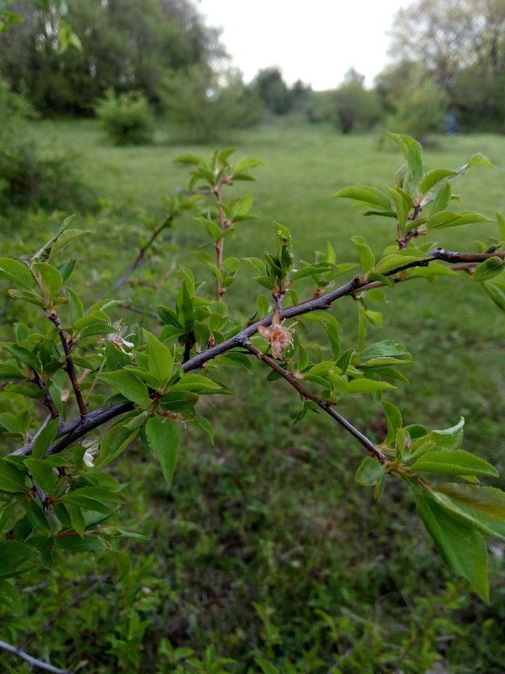??