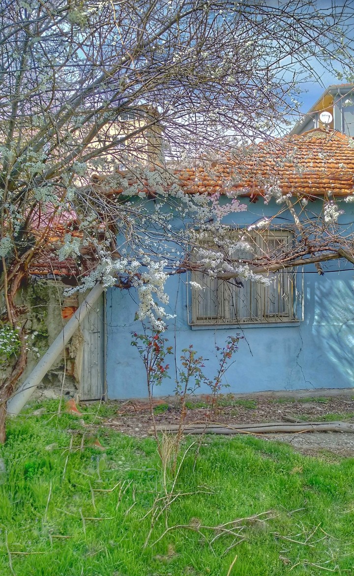 house
