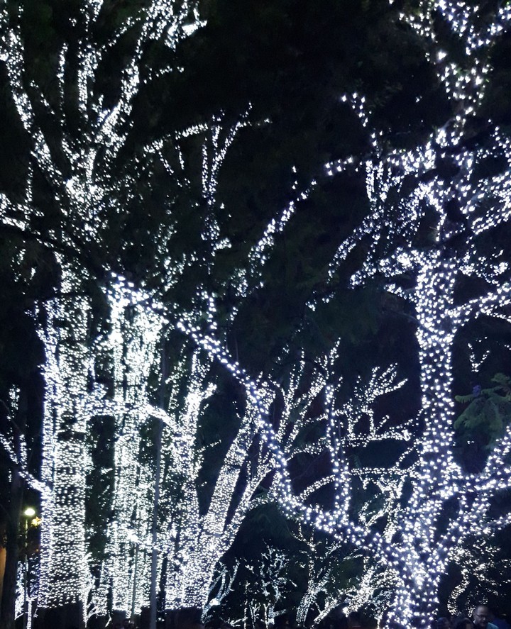 Parque Ibirapuera