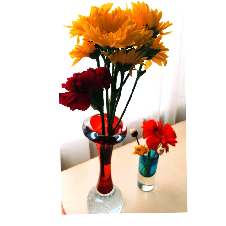 red & yellow flowers