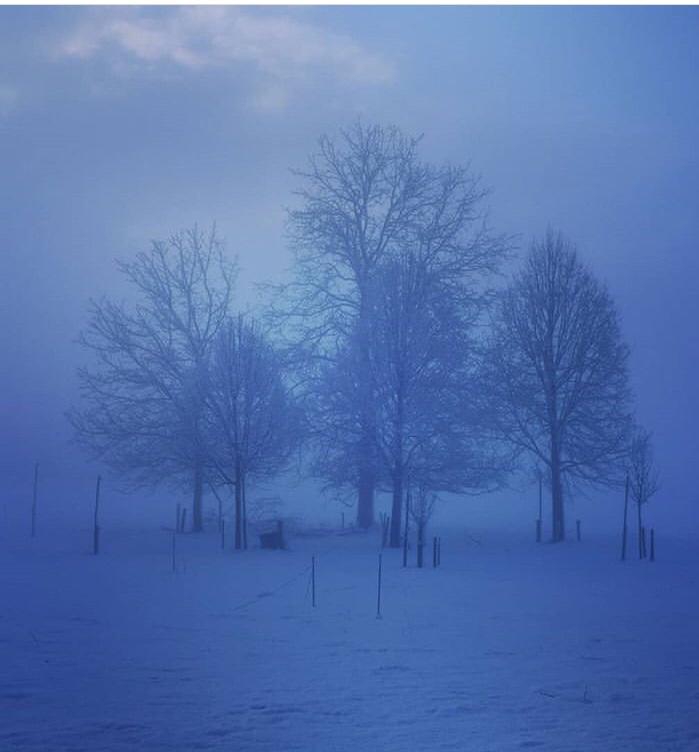 snow