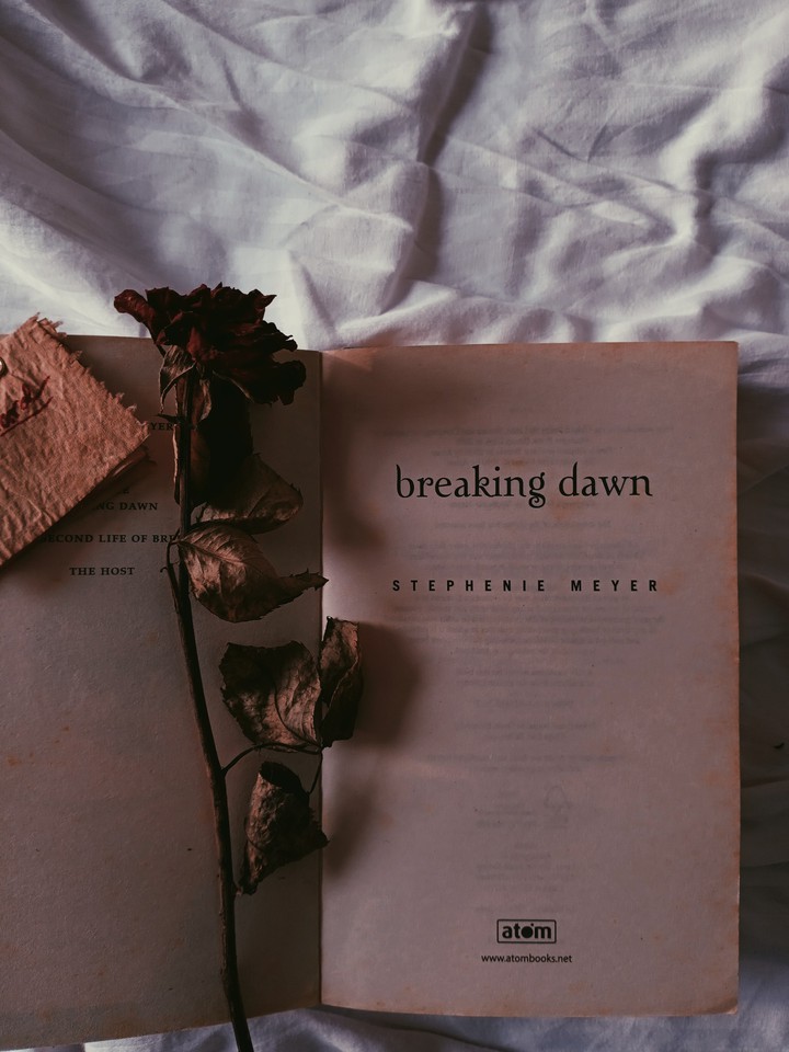 book aesthetic - twilight, breaking dawn