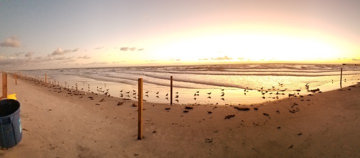infinite beach
