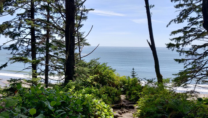 strawberry bay, wa, usa