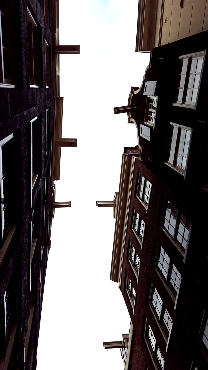 Looking Up