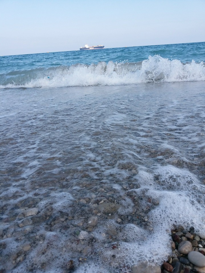 dalgalar