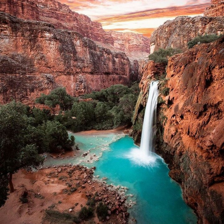 nature...