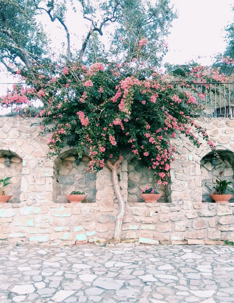 natura