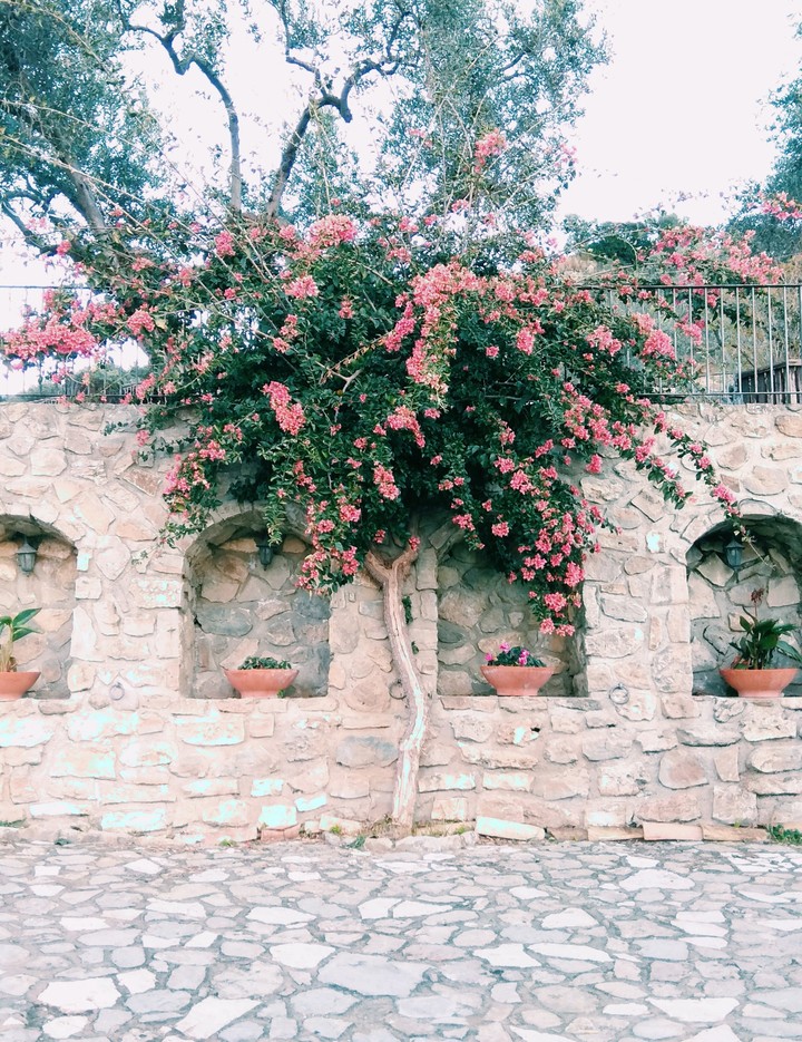 natura