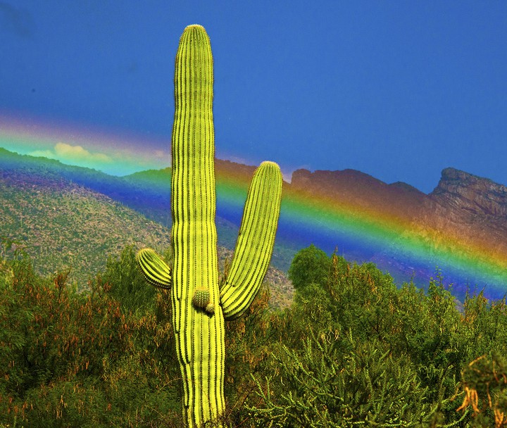 Arizona