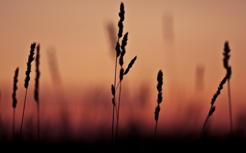 West Of The Sun