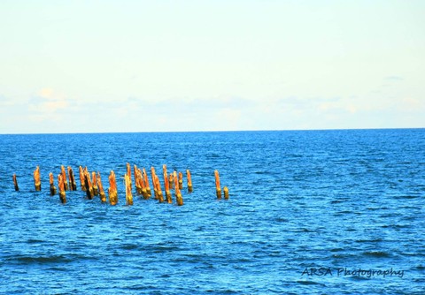 ocean
