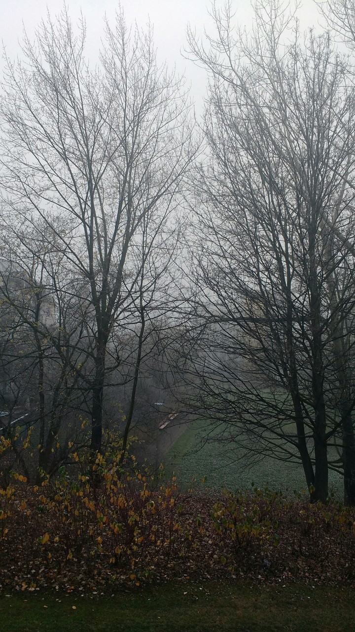Fog in Chemnitz