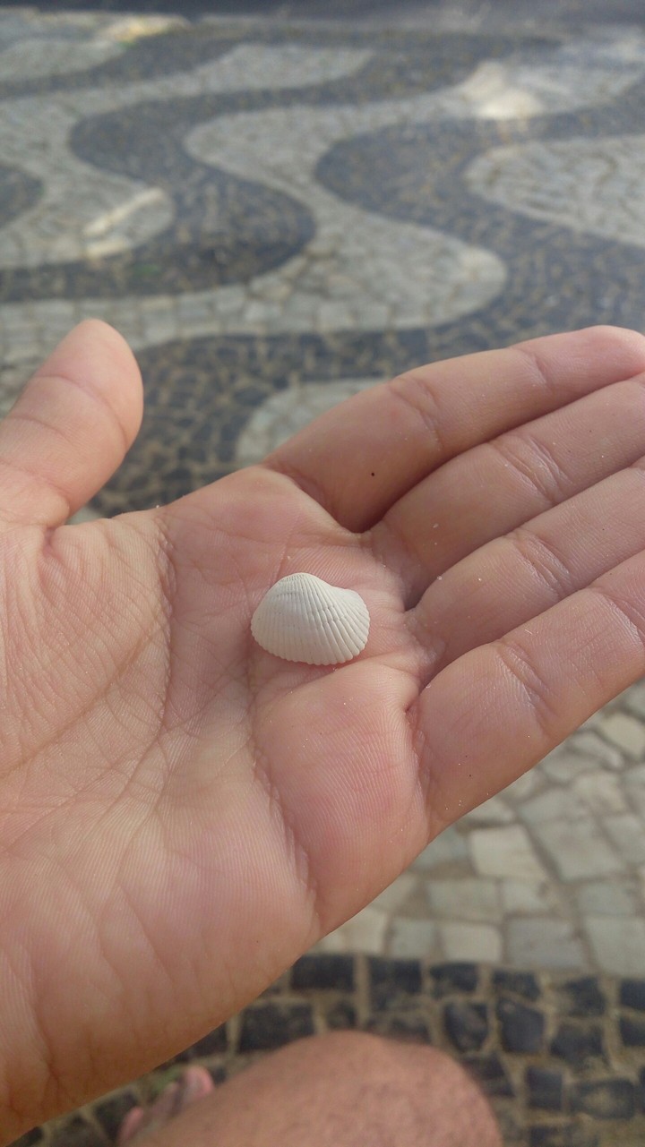 concha
