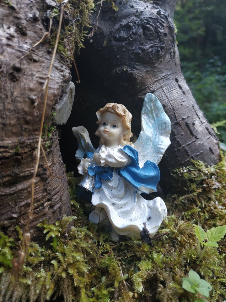 angel in a stub