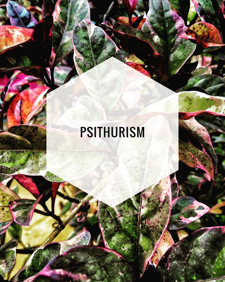 PSITHURISM