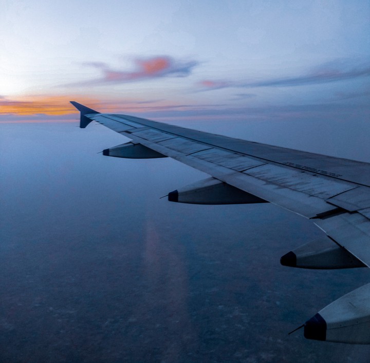 Wings And Sunset