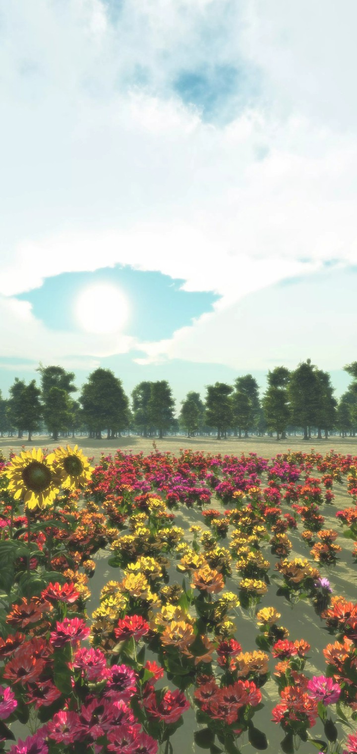 Picture Flower Garden