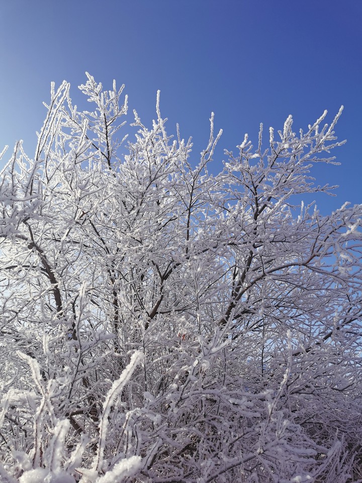 winter
