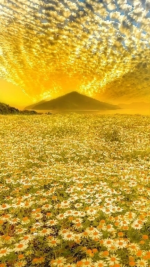 beautiful morning