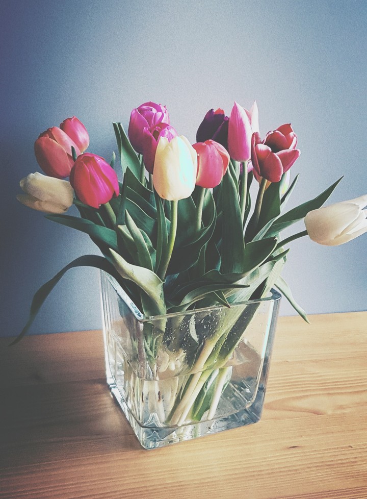 flowers spring