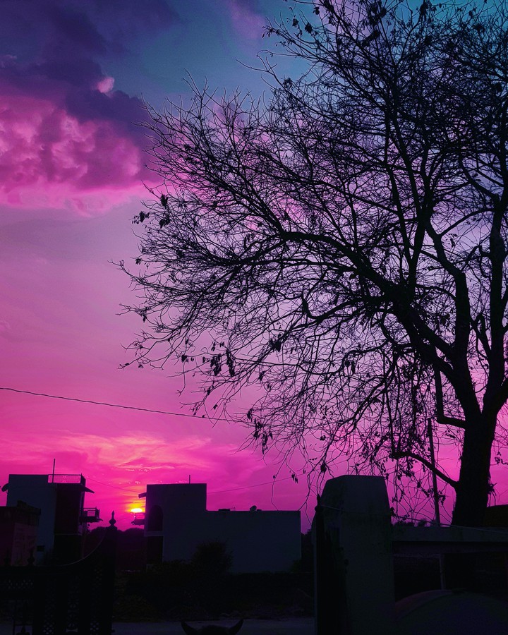 Beautiful purple sunset