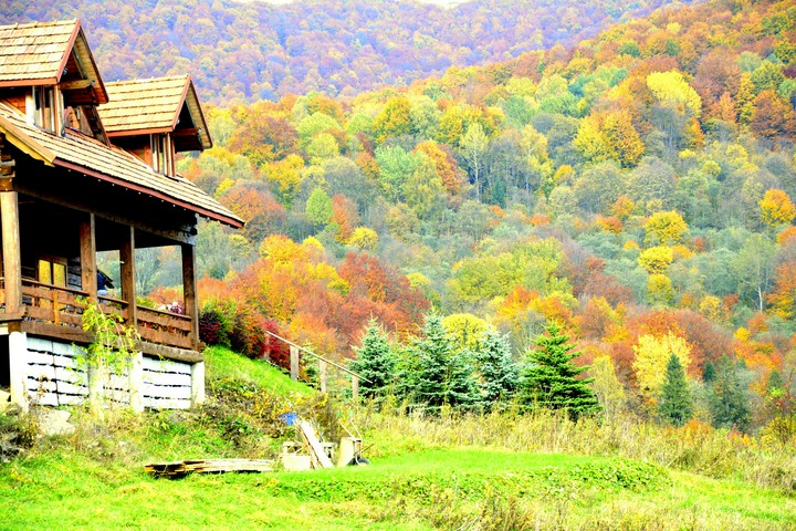Autumn