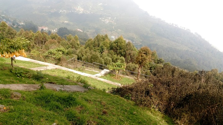 coakers walk
