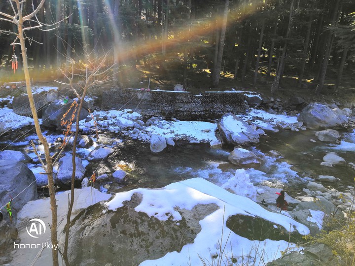 winter sunshine