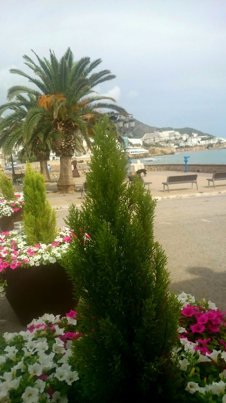 STAMATIOS