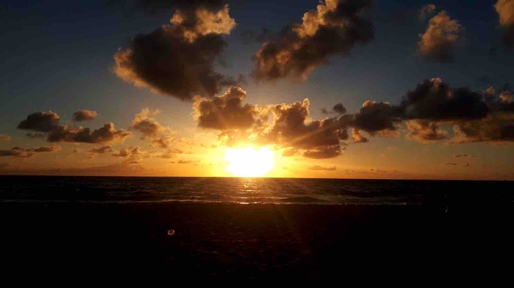 Hollywood Beach