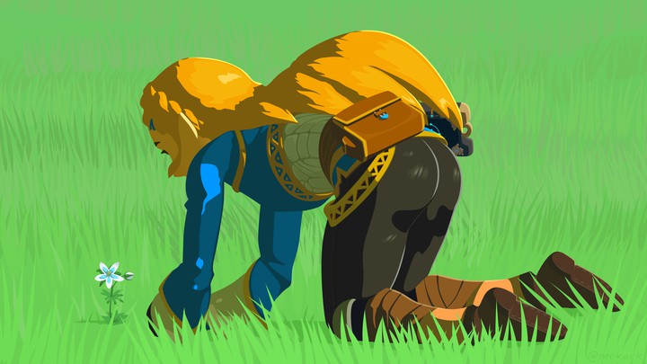 thicc zelda