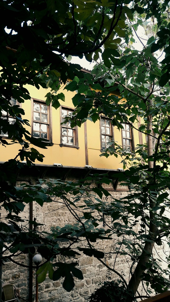bursa ırgandı köprü