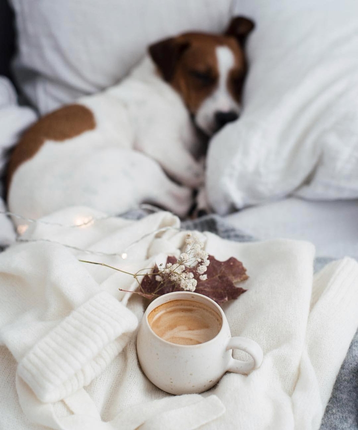 Sweet&Sleep