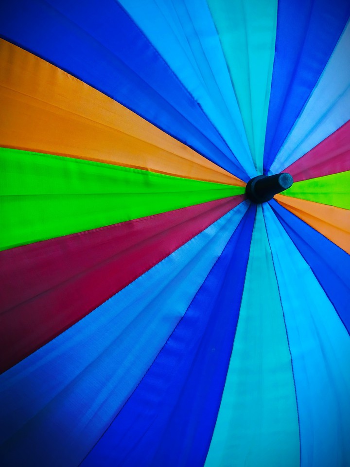 Umbrella
