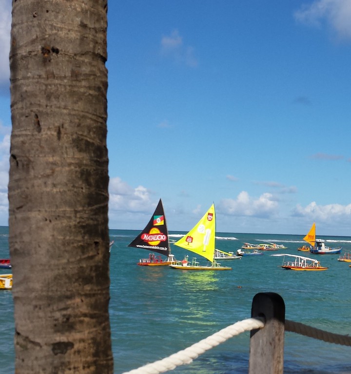 Porto de galinhas
