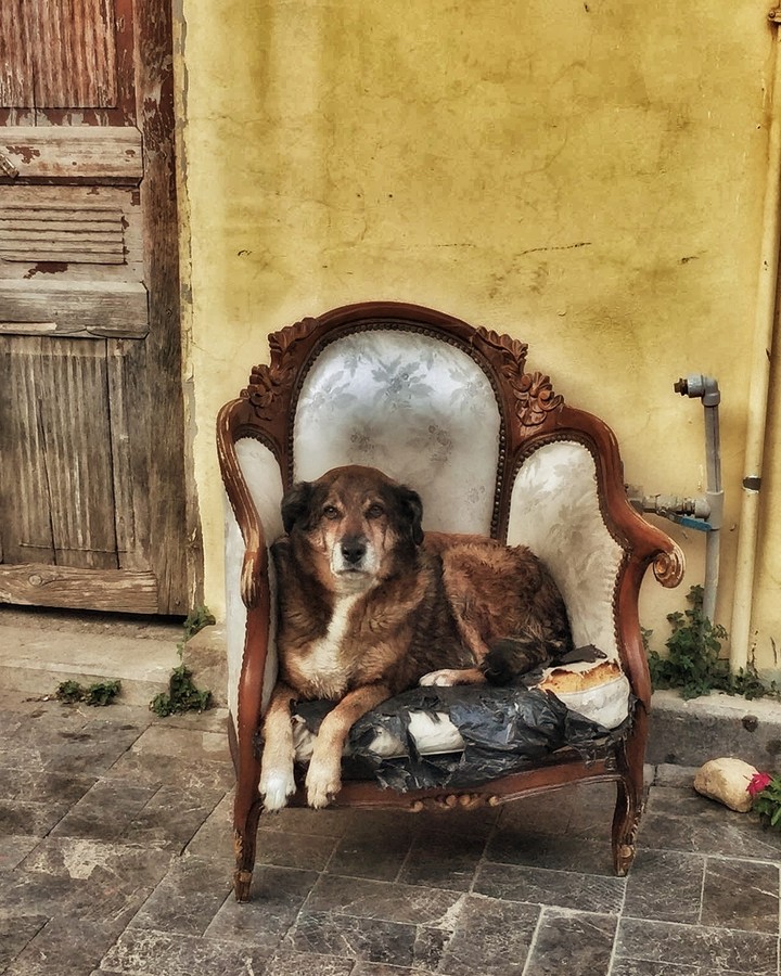 çok yaşa!