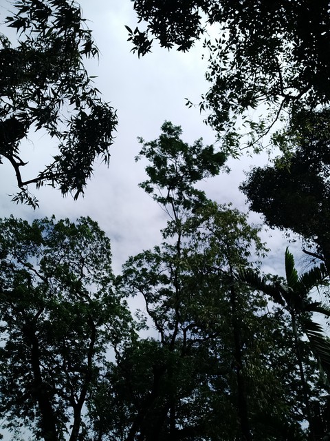 sky