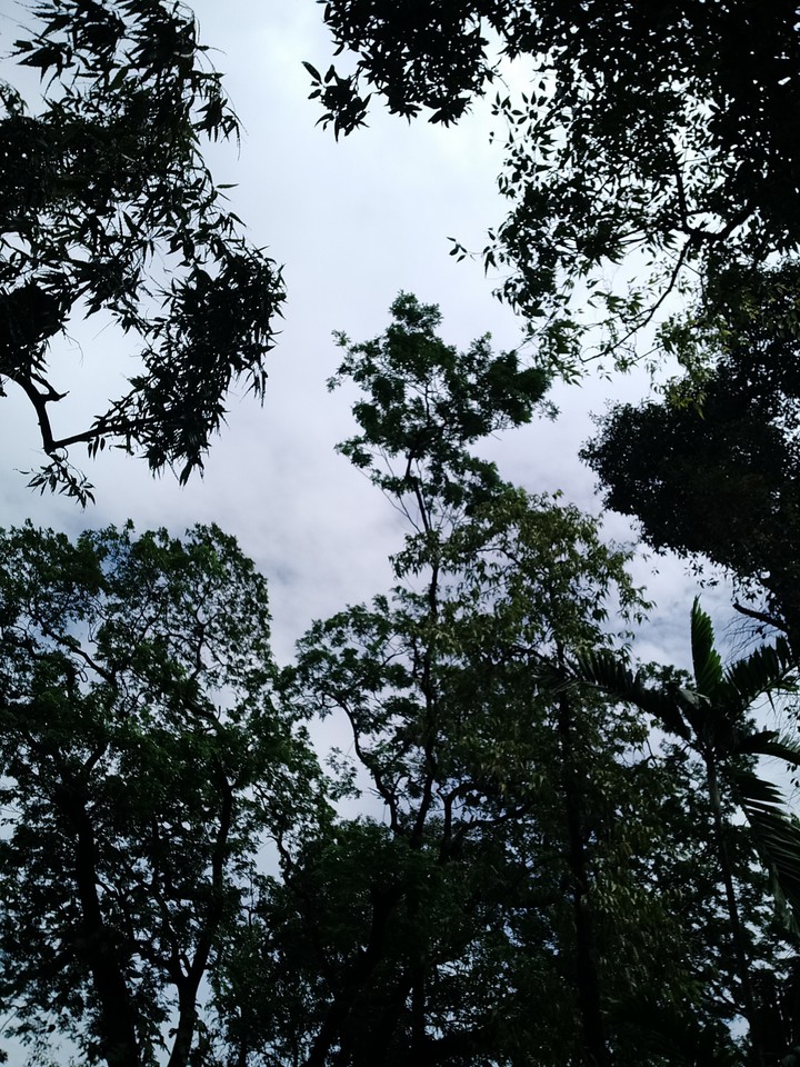 sky