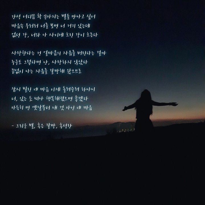 그리운 별, 혹은 갈망 / 홍성란