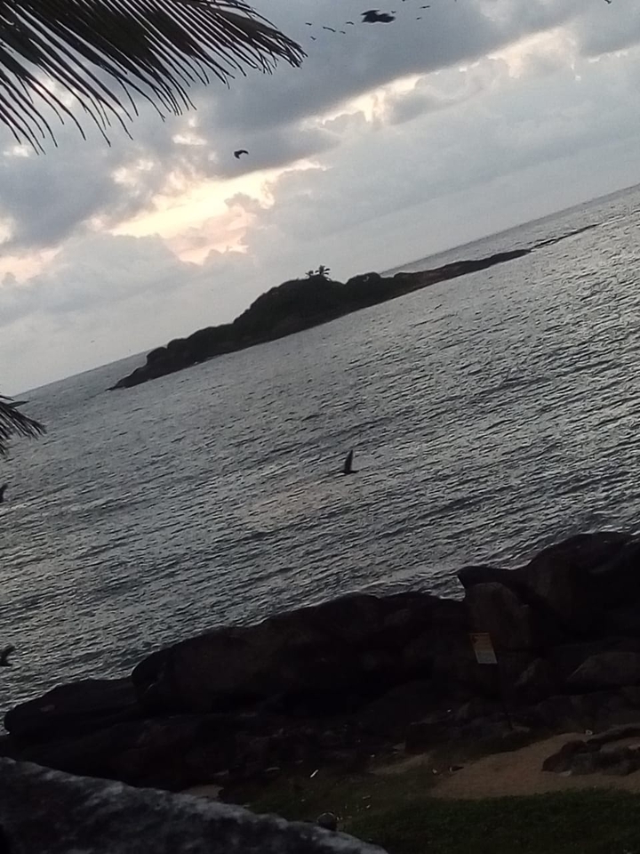 beach