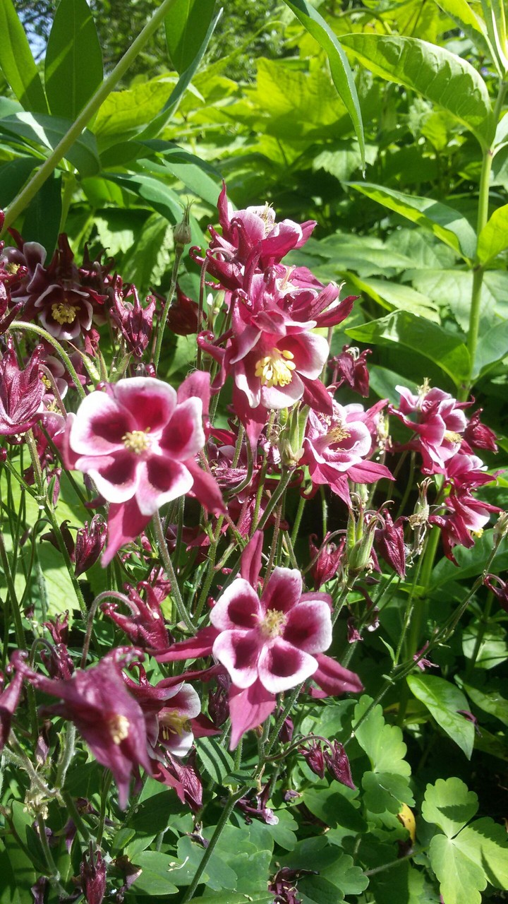 im Stadtpark Gütersloh